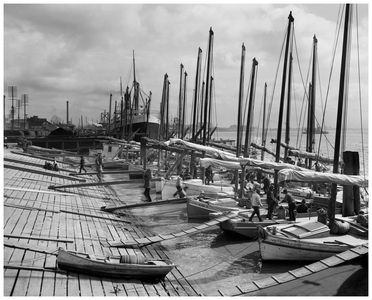 Oyster luggers, New Orleans, La (b/w photo)