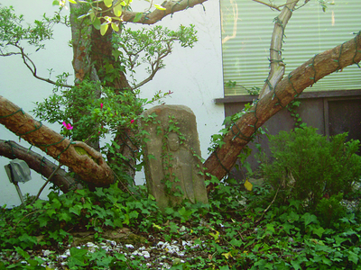 Marlon Brando's house, view of the garden, Mulholland Drive, Los Angeles, USA (photo)