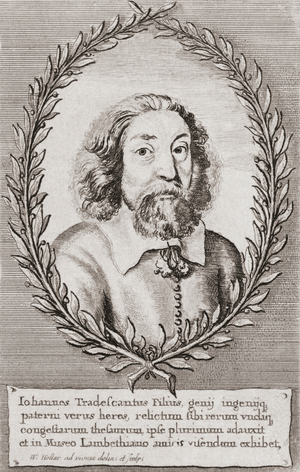 John Tradescant the Younger,
