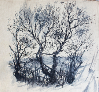 Copse, 1954-60 (pen)
