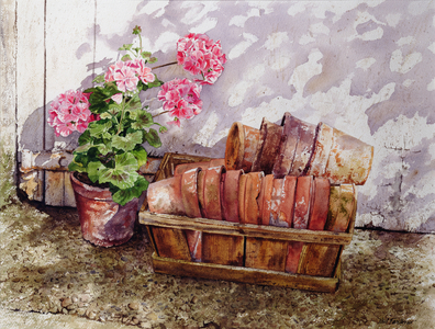 Terracotta Pots (w/c on paper)