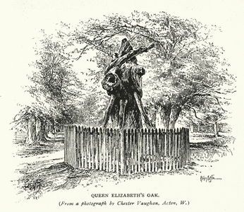 Queen Elizabeth's Oak, 1896 (litho)