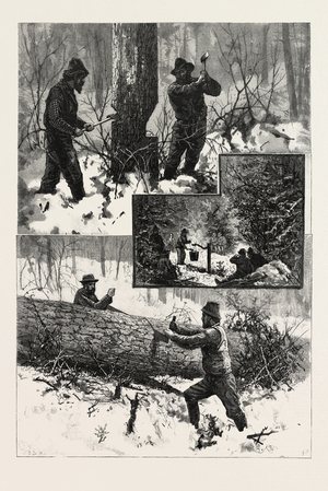 Chopping and Sawing, Lumbering, Canada, Nineteenth Century Engraving