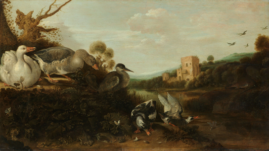 Waterfowl, 1652 (oil on panel)