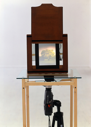 Hollow Oak, 1995 (Video projector and player, wooden negative plate carrier, glass, steel)