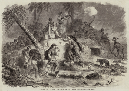 Overflow of the Nile, Destruction of the Village Shubrah-Namlah (engraving)