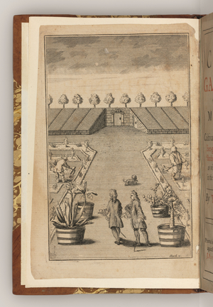 The frontispiece of The City Gardener by Thomas Fairchild, 1722 (engraving)