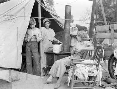 Drought refugees from Texas encamped in California, 1936 (b/w photo)