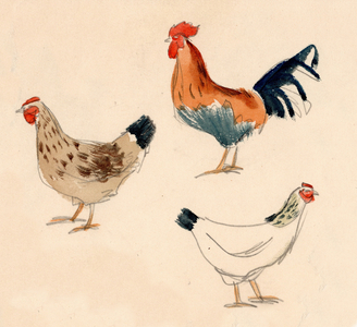 Two Hens and a Rooster, 1968 (w/c on paper)