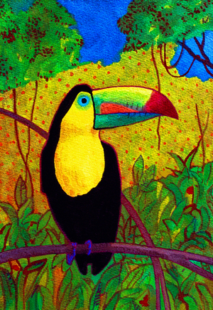 Toucan, 2005 (watercolour)