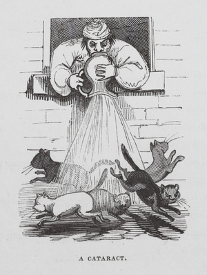 A Cataract (engraving)