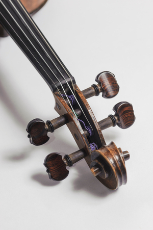 Violin, scroll