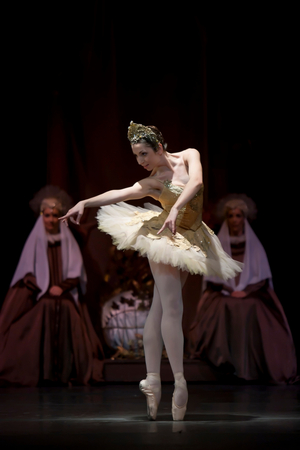 'The sleeping beauty' by the Bayerisches Staatsballett (photo)