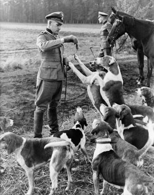 Mounted police with hunting dogs, 1938 (b/w photo)