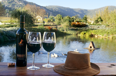 Ridgeback Wine Estate, Paarl, Western Cape (photo)