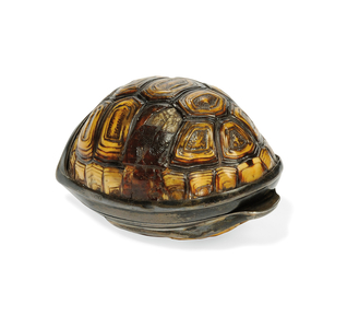 George III terrapin snuff box, 1817 (silver & shell)