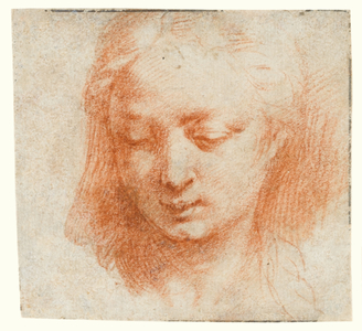 The head of a woman, looking down to the left (red chalk on paper)
