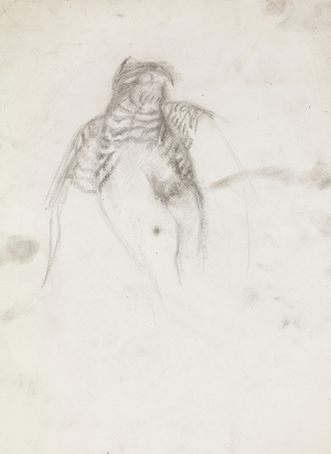 Bird of Prey, c.1962 (pencil on paper)