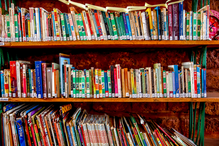 ICCV Nazemse NGO in Ouagadougou, Burkina Faso, Library (photo)