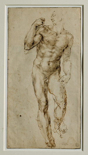 Nu masculin, vue de face, vers 1502-1506 …