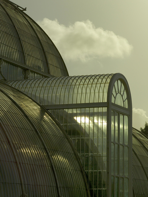 Palm House detail, 2007 (photo)