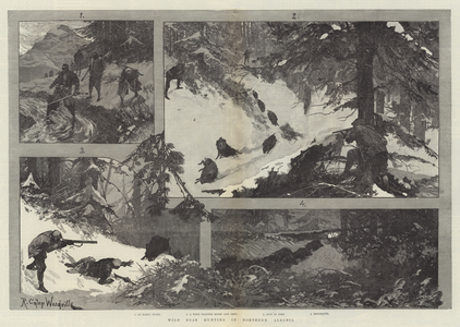 Wild Boar Hunting in Northern Albania (engraving)