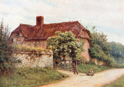 The Elder Bush, Brook Lane, Witley (colour litho)