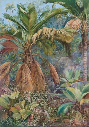 Wild pine apples, and Stevensonia and other palms, Praslin, 1883 (oil on board)