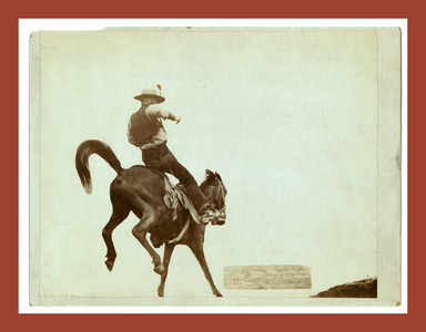 Bucking Bronco. Ned Coy, a Famous Dakota Cowboy, Starts Out for the Cattle Round-Up with His Pet Boy Dick.