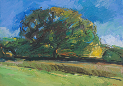 Forêt de Landévennec, c. 1986  (oil on canvas)