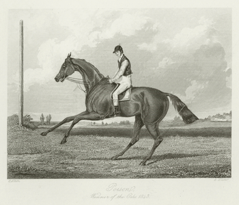 Poison, foaled 1840 (b/w photo)