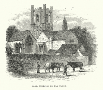 Road leading to Ely Close (engraving)