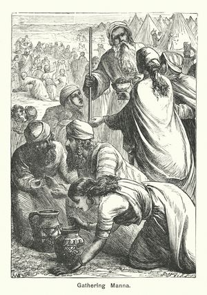 Gathering Manna (engraving)
