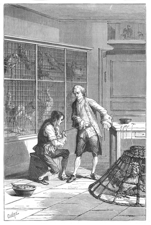 Lazaro Spallanzani (1729-1799), Italian naturalist and biologist, investigating the digestive system of the chicken. Engraving published Paris 1874.