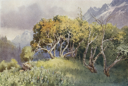 Above the Camping-Ground, Sonamarg, Sind Valley (colour litho)