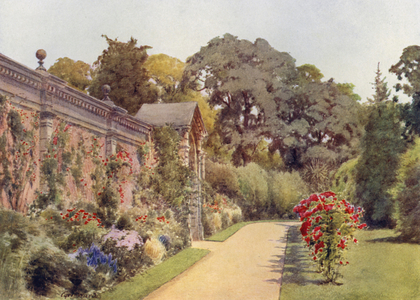 Crimson Ramblers at Osborne (colour litho)