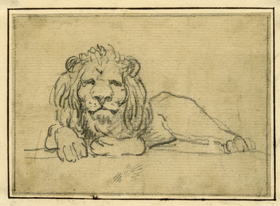 Pencil drawing of a lion from the Menagerie in the Tower of London, early 19th century (drawing)