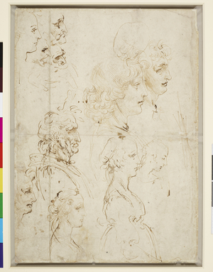 Heads in profile c.1478-80 (pen and ink)