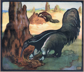 Anteater, 1910 (colour litho)