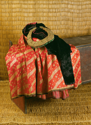 Nepali woman's costume
