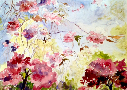 cherry blossoms in the park, 2017 (watercolour)