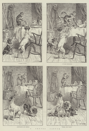 A Pepper Castor (engraving)