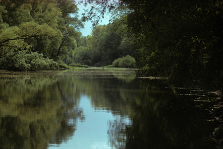 G'scherrwasser, The Danube river, Austria (photo)