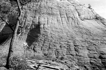 Roadtrip around the Utah-Arizona borderline in the Kanab area, Zion National Park, 1968