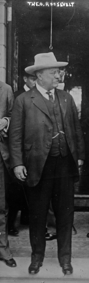 President Theodore Roosevelt, 1913