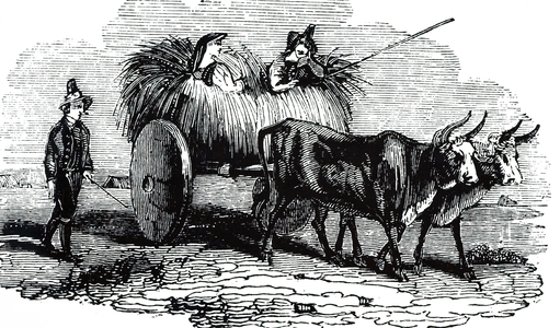 An engraving depicting an ox cart with solid wheels in Calabria, 19th century