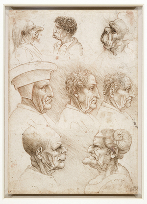 Five grotesque heads, and three heads of men in profile, c.1510-20 (pen & ink over red chalk on paper)