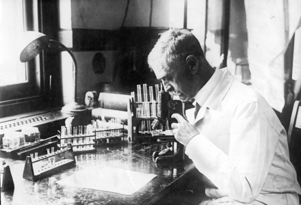 Karl Landsteiner in his laboratory in New York, c.1930s (b/w photo)