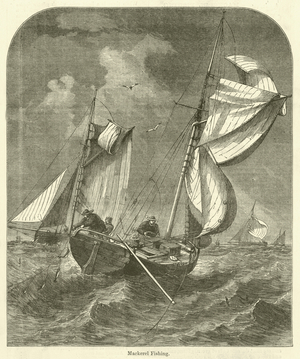 Mackerel Fishing (engraving)