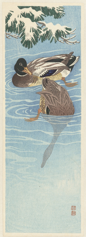 Two wild ducks in the Water, 1925-36 (woodcut)